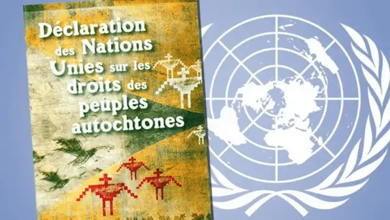 Image de bannière illustrant la visite du rapporteur général des Nations Unies au Canada, mettant en lumière les discussions et échanges sur les droits des peuples autochtones.